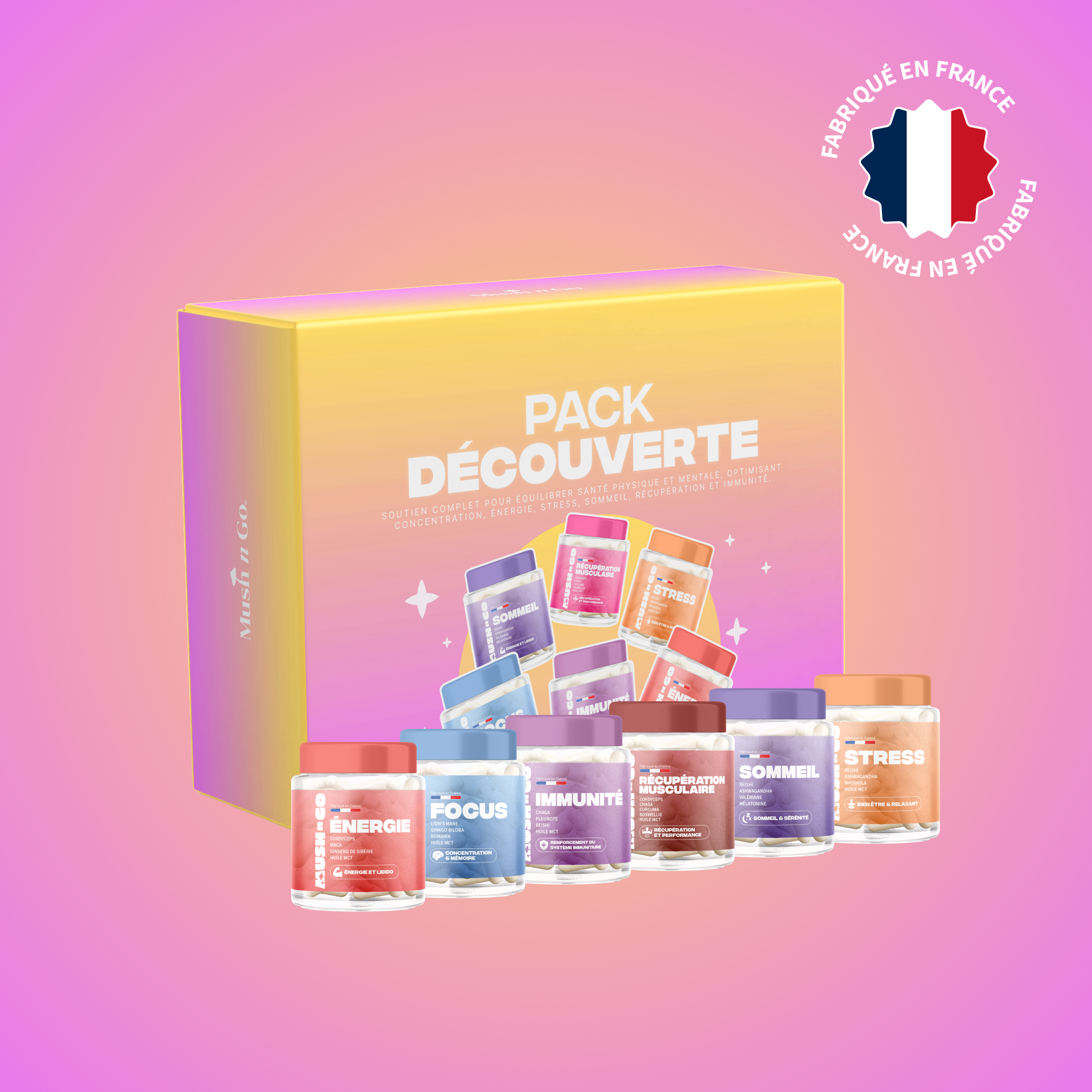 Pack Découverte