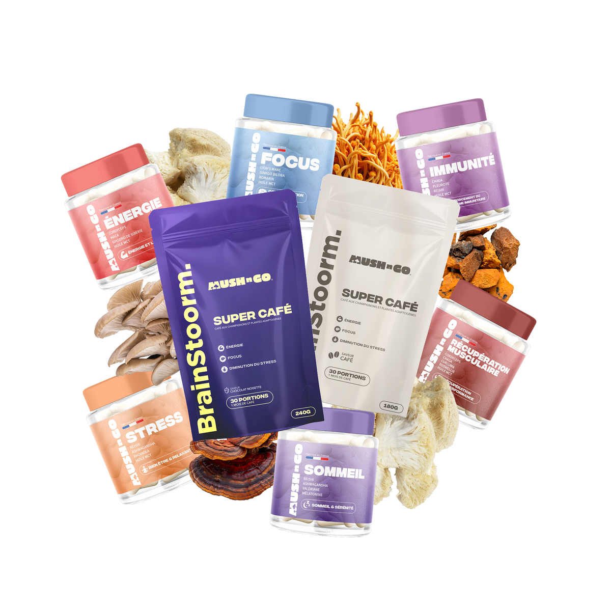 Champignons adaptogènes