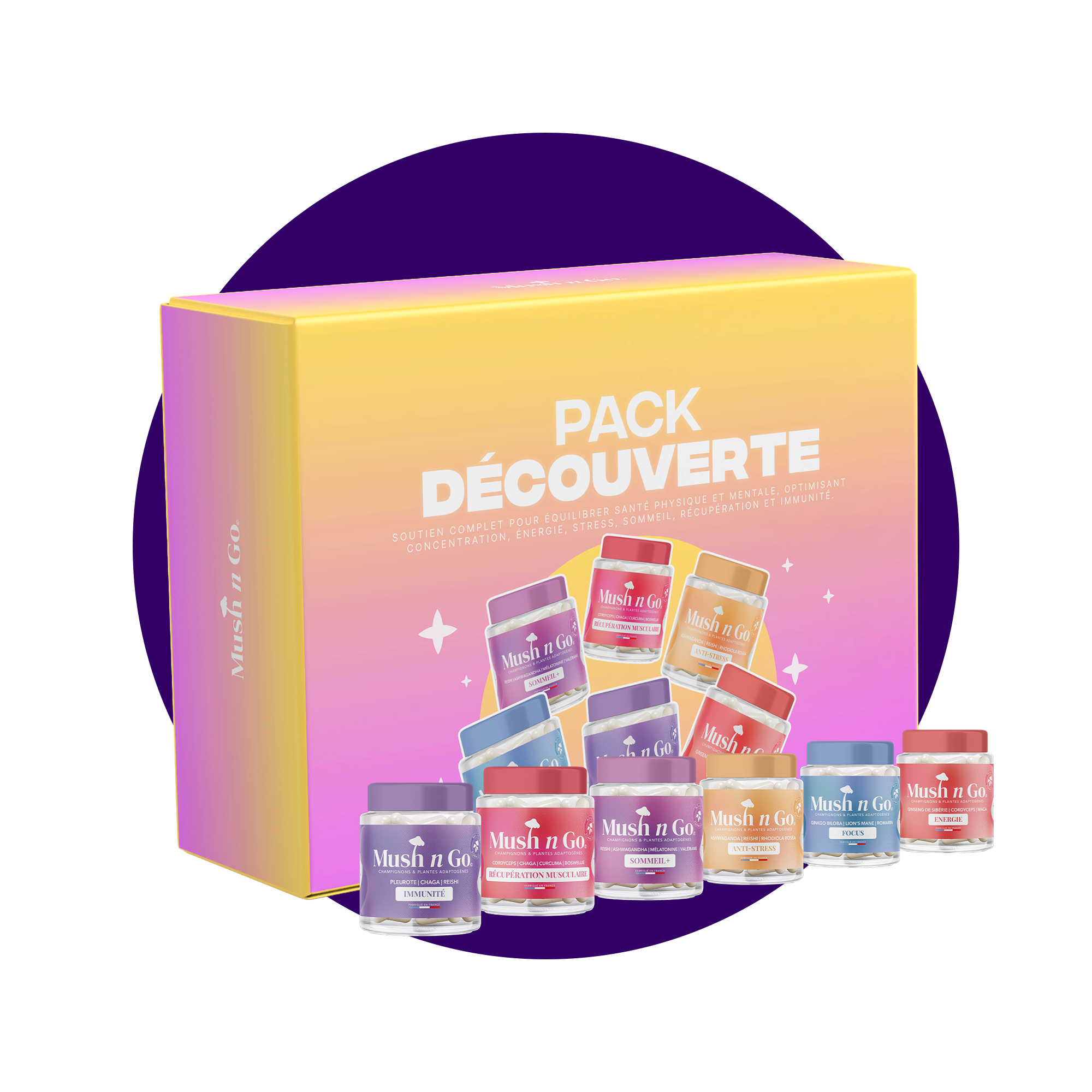 Pack Découverte