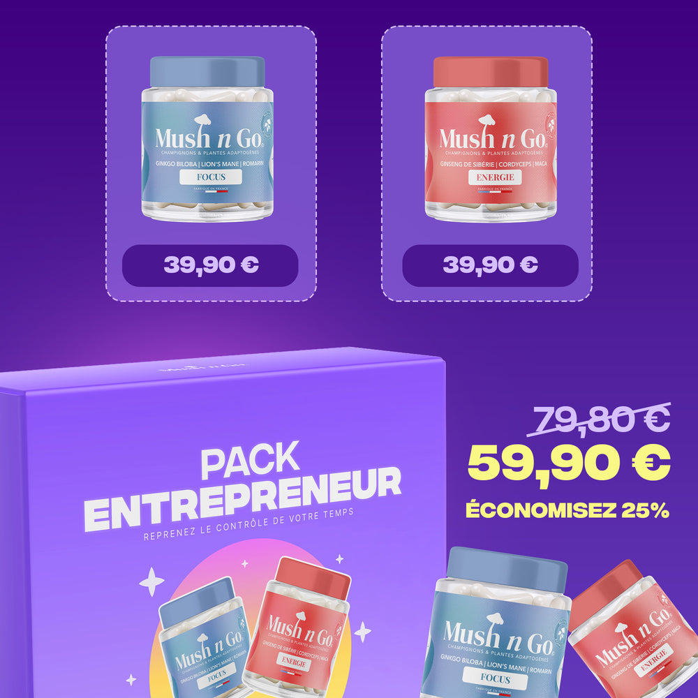 Pack Entrepreneur - Image 3