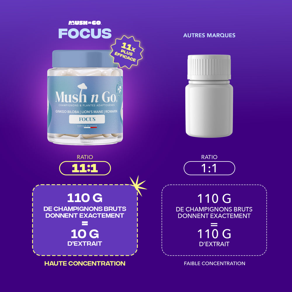 Pack Entrepreneur - Image 4