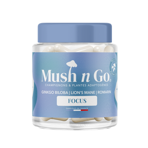 Mushngo : Boost Ton Potentiel – Mush'n'go