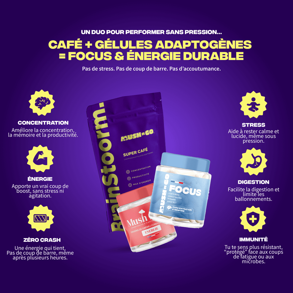 Pack BrainPower - Image 1