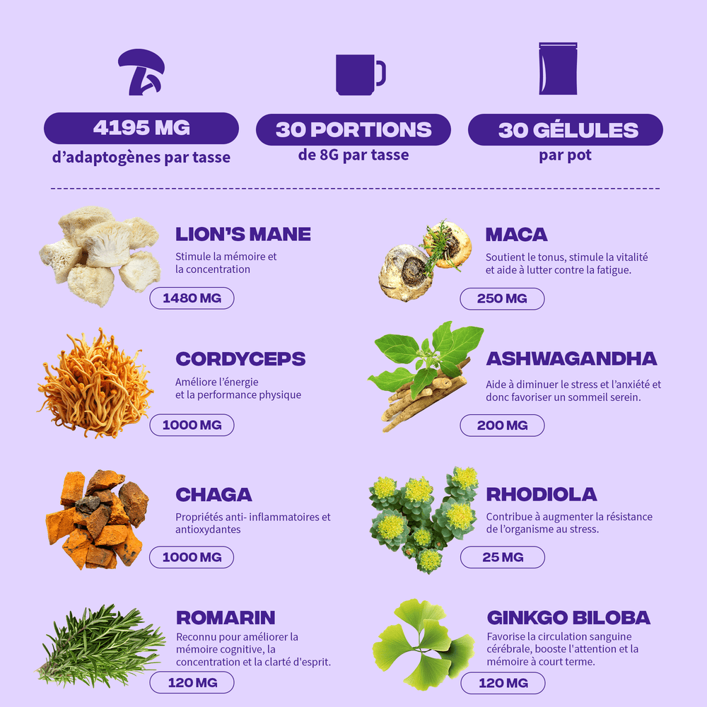 Pack BrainPower - Image 2