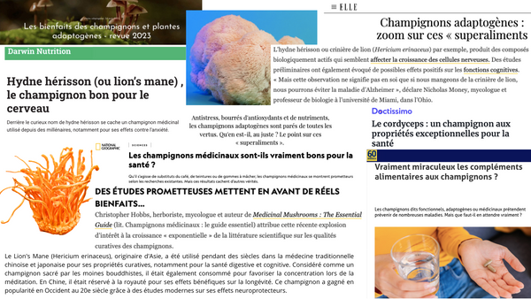 Articles sur le Lionsmane