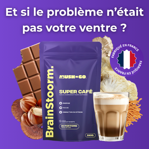 Mush n Go — Champignons adaptogènes naturels