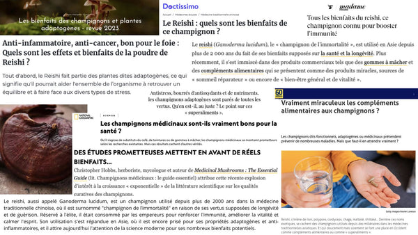 Articles sur le Lionsmane