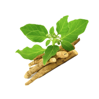 ashwaganda