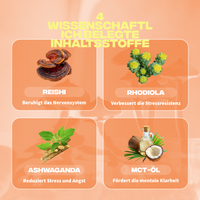 anti stress ingredients reishi rhodiola ashwagandha huile mct