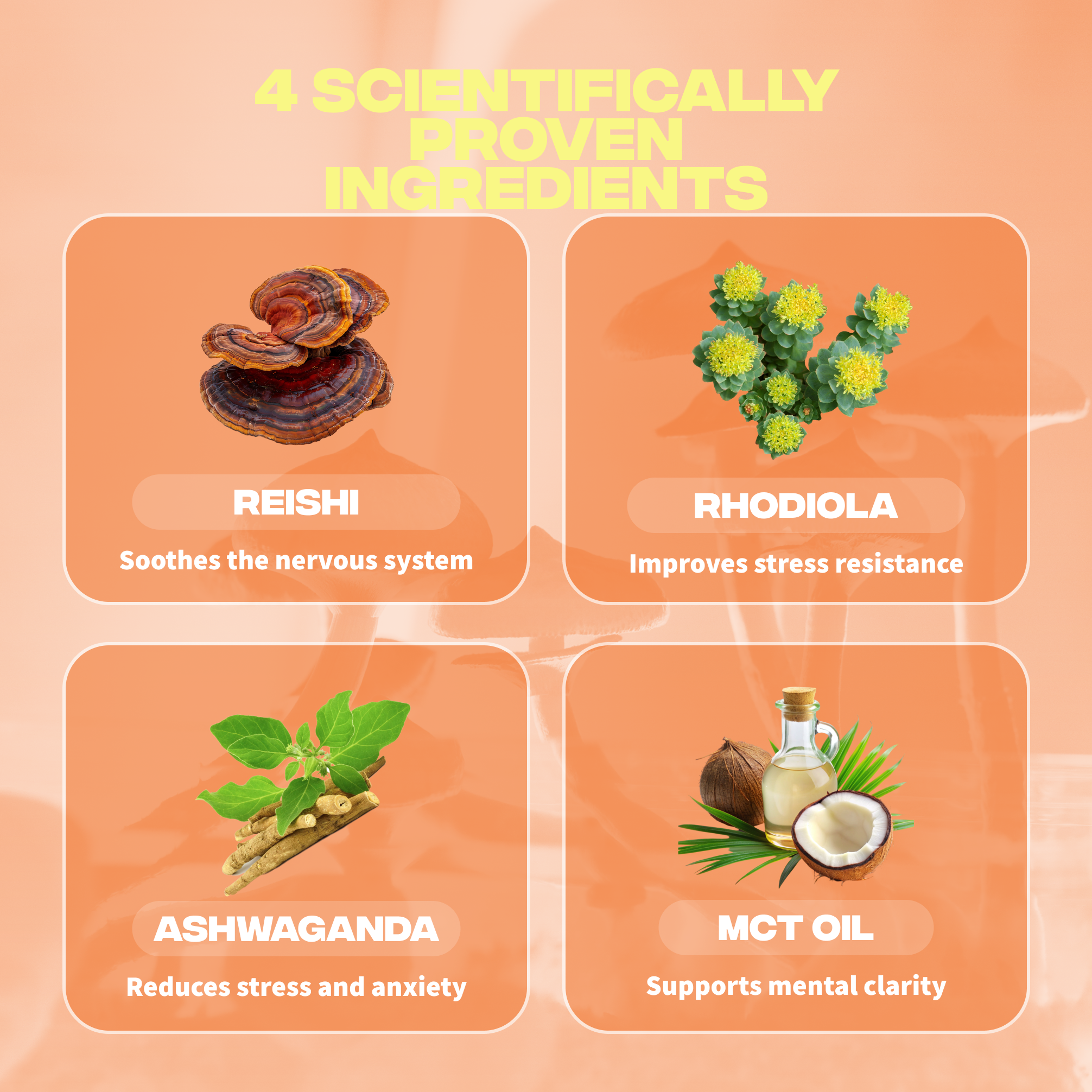 anti stress ingredients reishi rhodiola ashwagandha huile mct