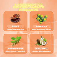anti stress ingredients reishi rhodiola ashwagandha huile mct