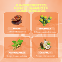 anti stress ingredients reishi rhodiola ashwagandha huile mct
