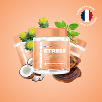 Anti-Stress Mush n Go - Complément alimentaire Reishi et Ashwagandha pour calme et sérénité, fabriqué en France
