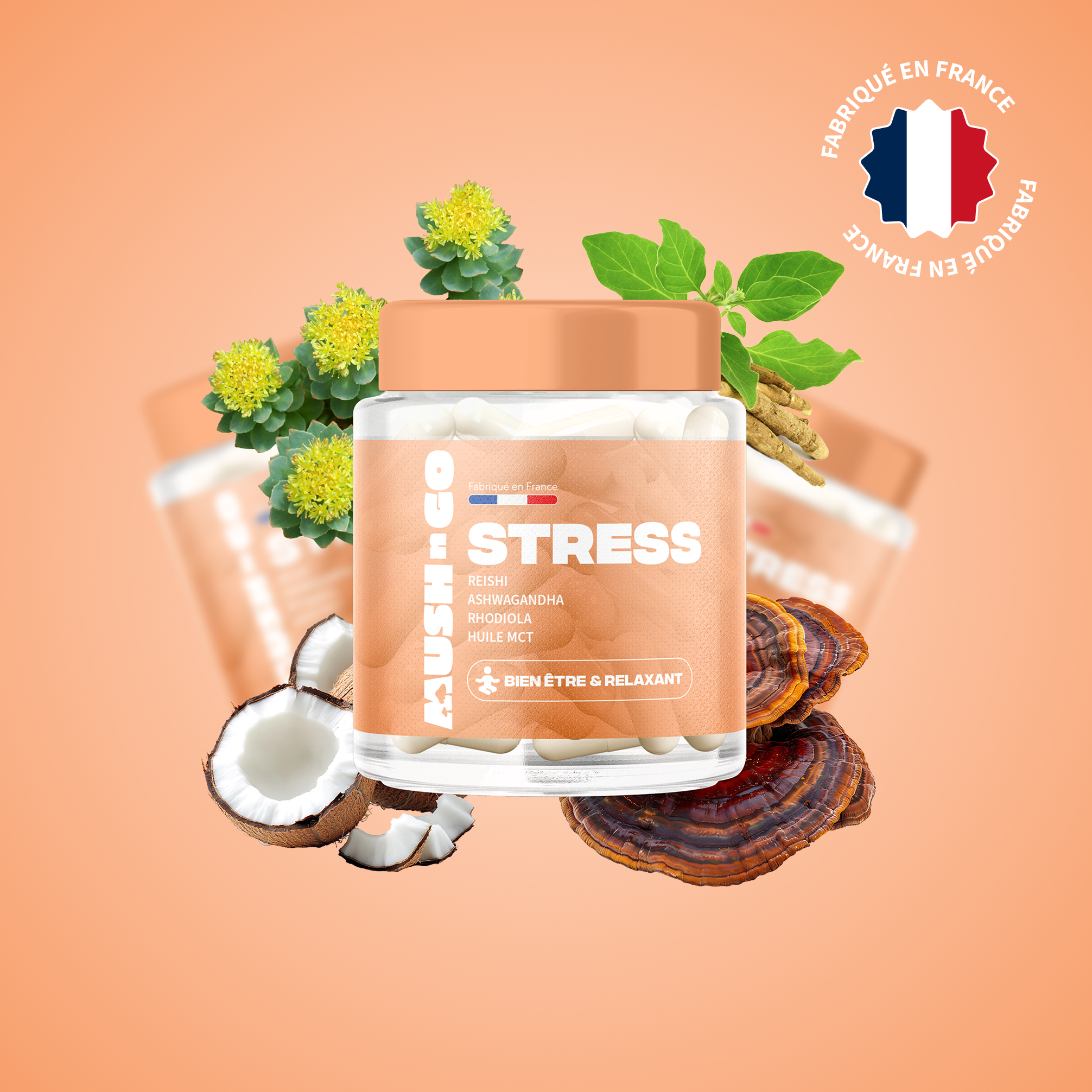 Anti-Stress Mush n Go - Complément alimentaire Reishi et Ashwagandha pour calme et sérénité, fabriqué en France