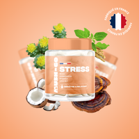 anti stress mush n go complement reishi ashwagandha serenite