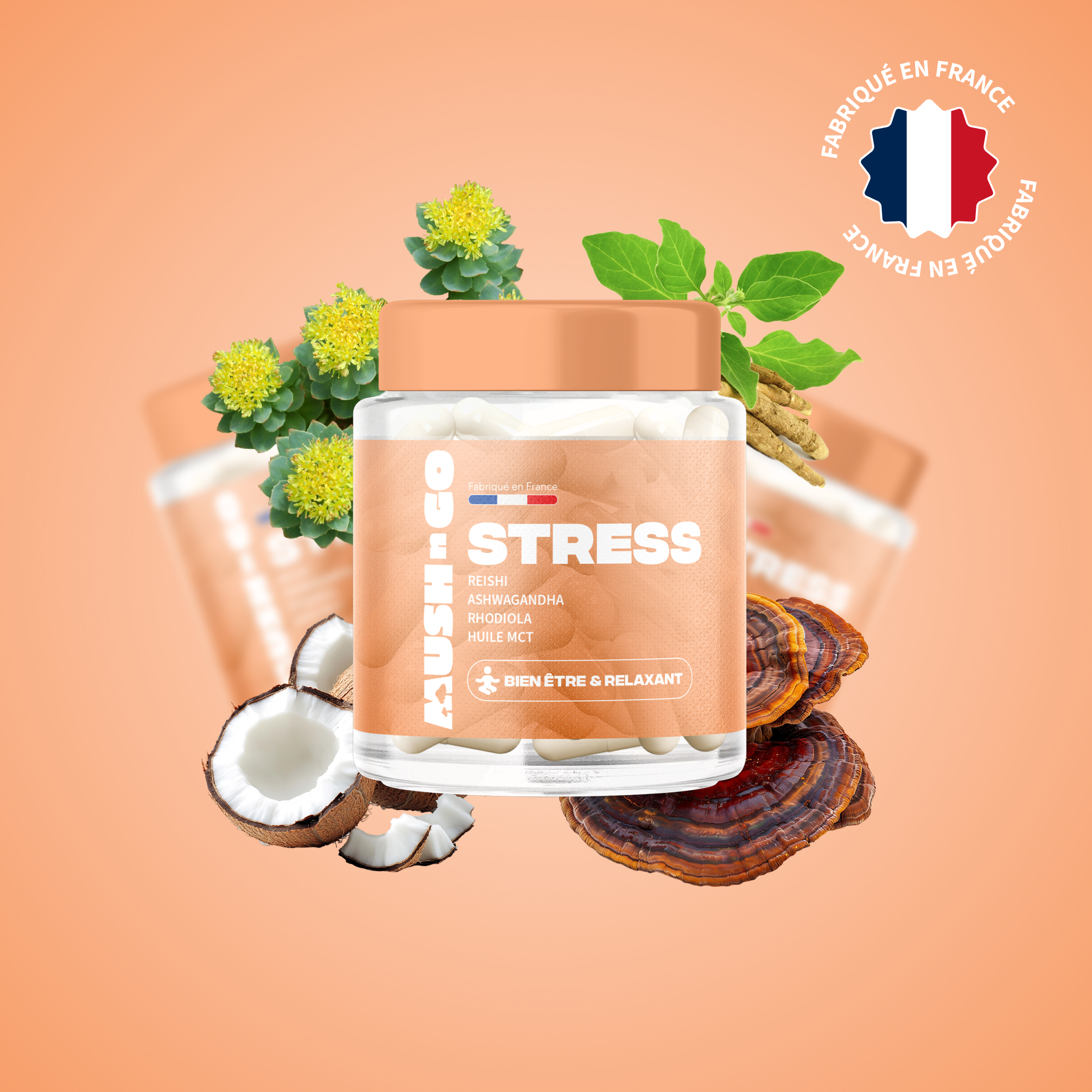 anti stress mush n go complement reishi ashwagandha serenite