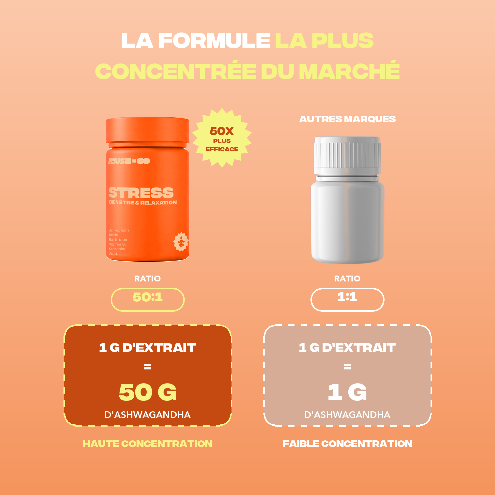 Formule Anti-Stress Mush n Go la plus concentrée du marché - Ratio 50:1, 1 g d'extrait pour 50 g d'ashwagandha