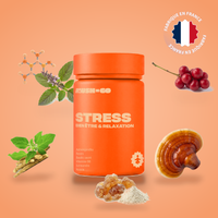Anti-Stress Mush n Go - Complément alimentaire Ashwagandha, Reishi, Basilic sacré et Vitamine B6 pour le calme, fabriqué en France