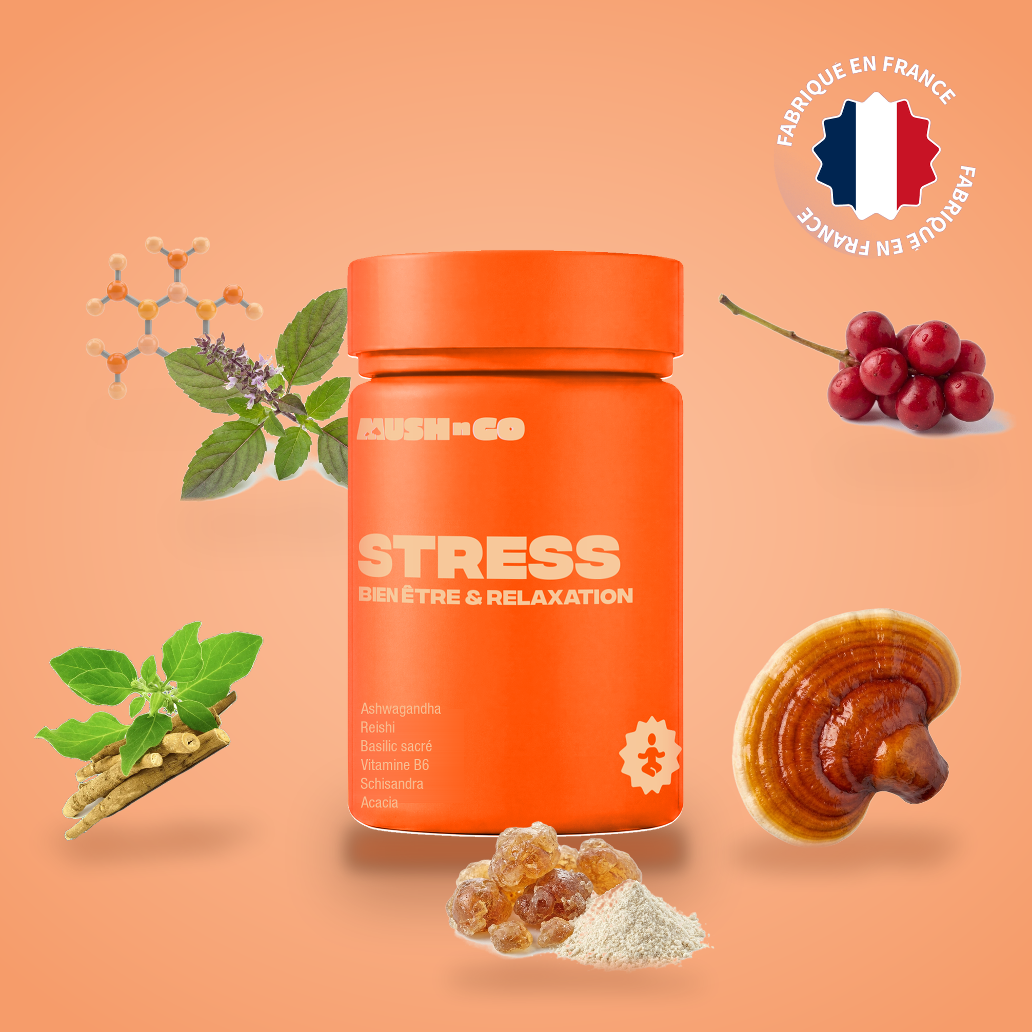 Anti-Stress Mush n Go - Complément alimentaire Ashwagandha, Reishi, Basilic sacré et Vitamine B6 pour le calme, fabriqué en France