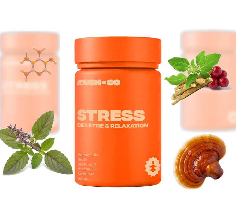 Pot Anti-Stress Mush n Go v2 entoure d'ashwagandha, basilic sacre, reishi, schisandra et vitamine B6