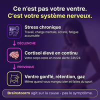 Mush n Go — Champignons adaptogènes naturels