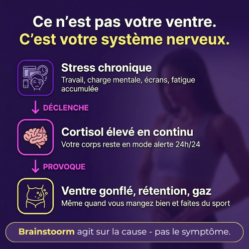 Mush n Go — Champignons adaptogènes naturels