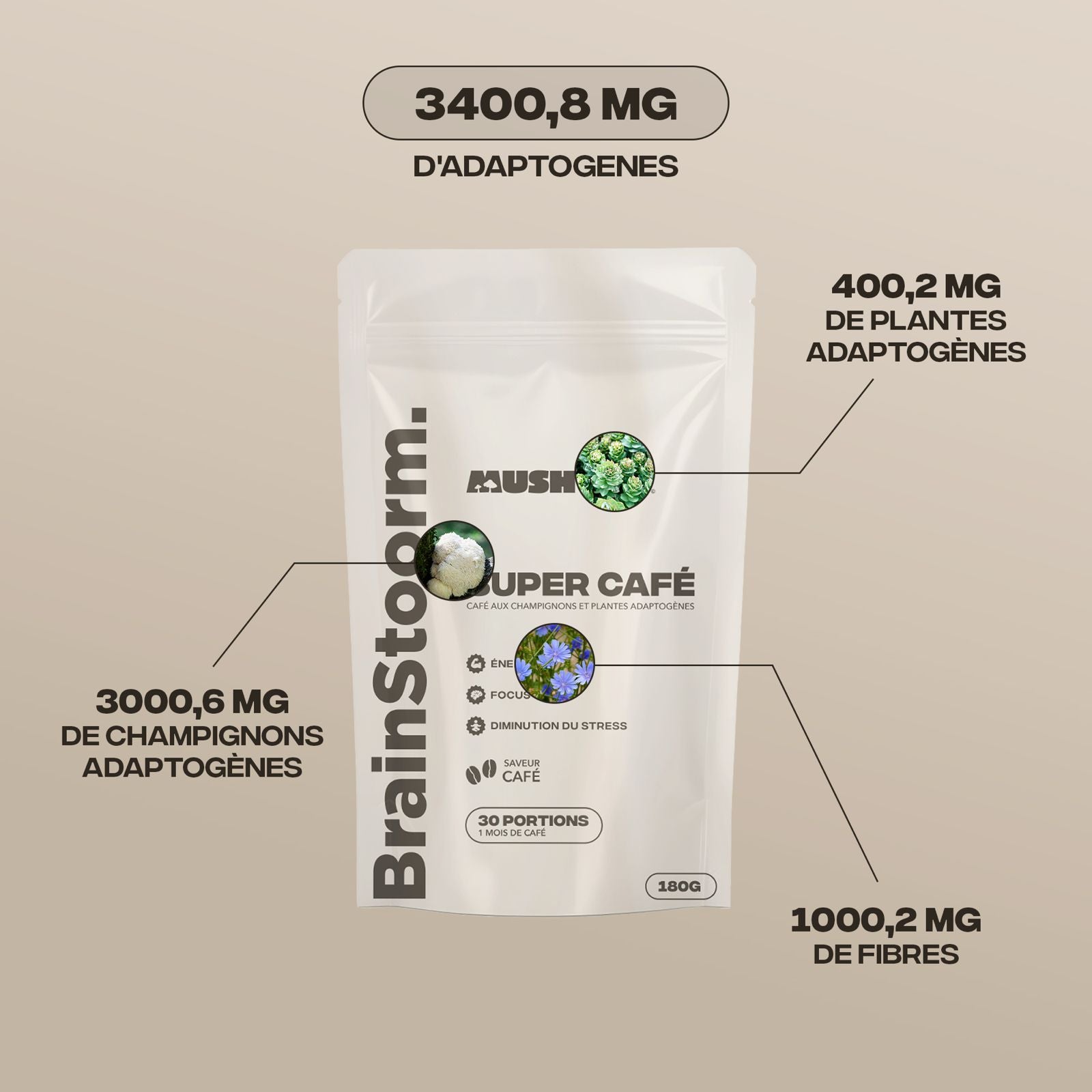 Composition Brainstoorm Coffee - 3400mg adaptogènes 3000mg champignons 1000mg fibres - Mush n Go