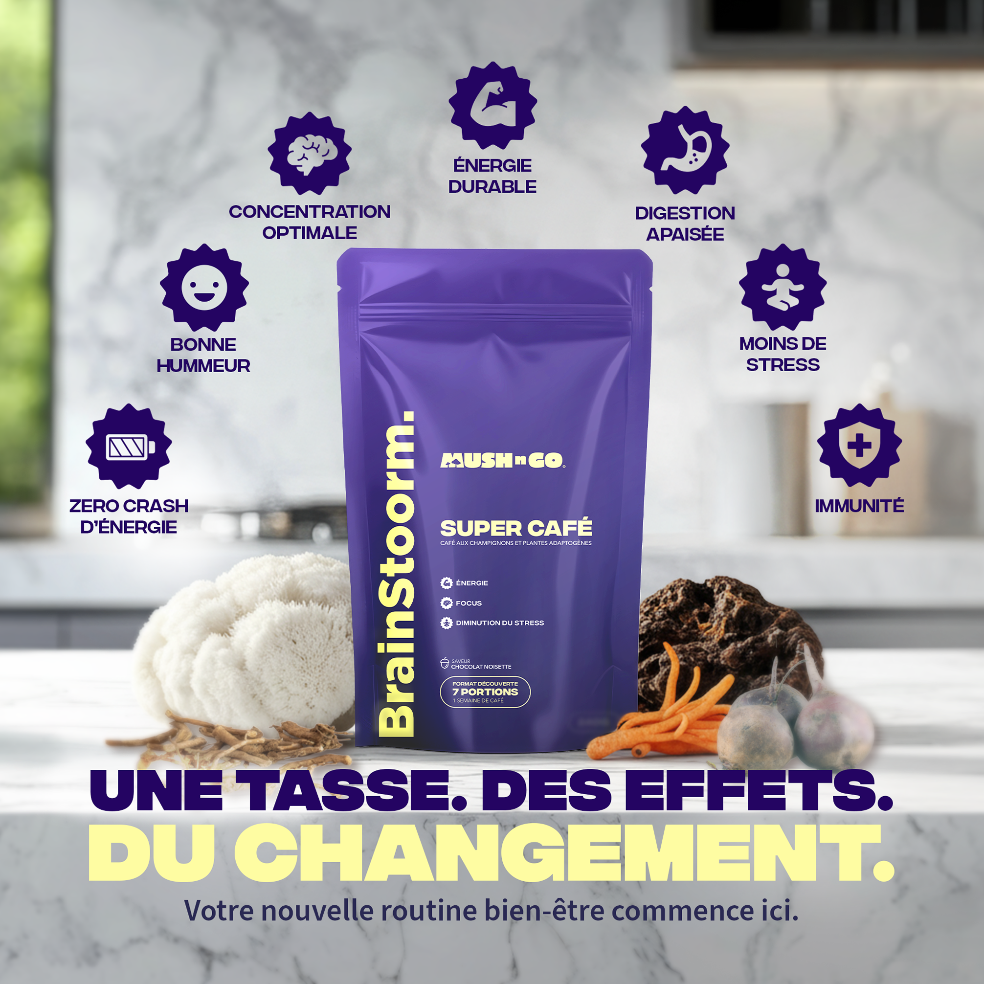 Bienfaits Brainstoorm Super Café - concentration énergie digestion immunité zéro crash - Mush n Go