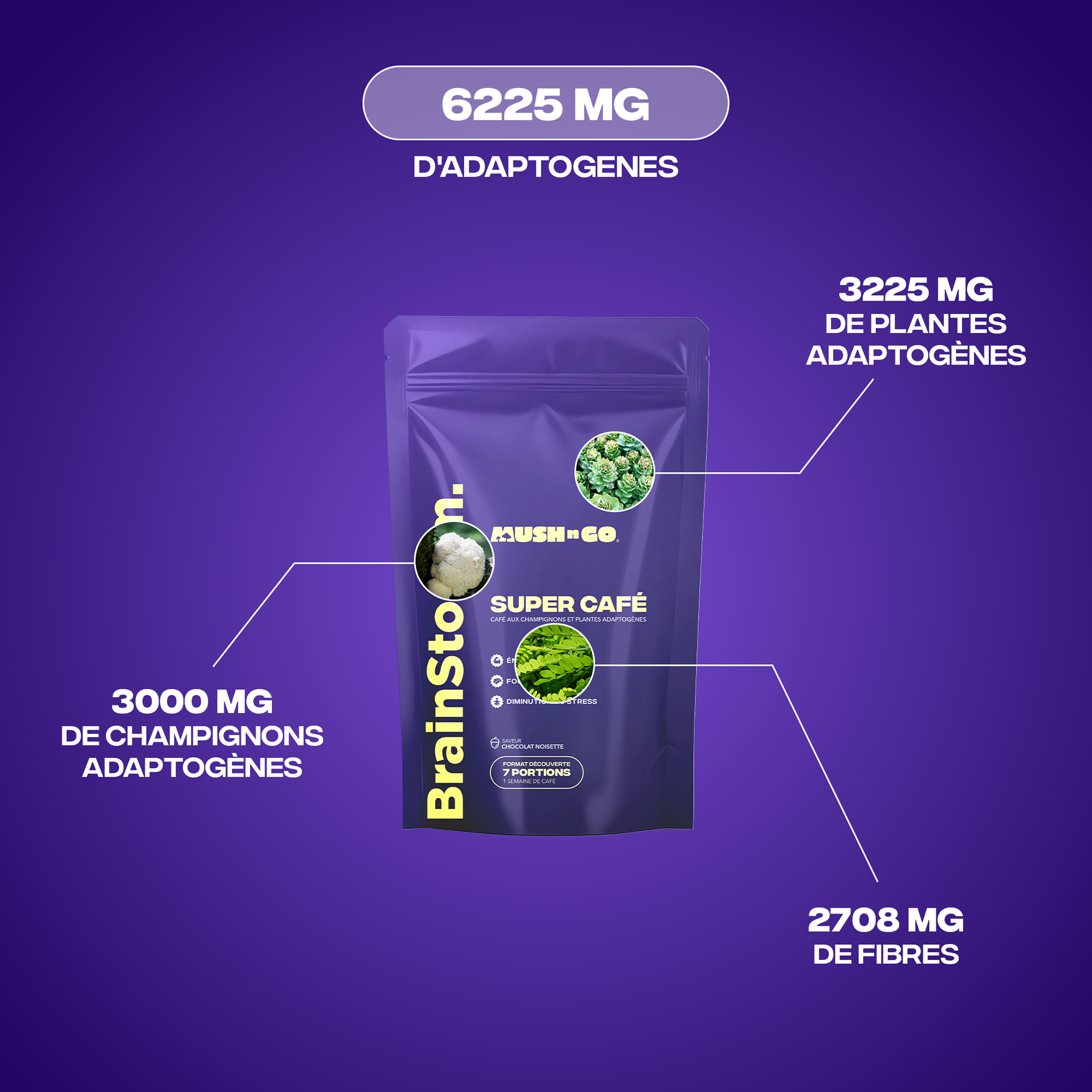 Composition Brainstoorm Super Café - 6225mg adaptogènes 3000mg champignons 2708mg fibres - Mush n Go