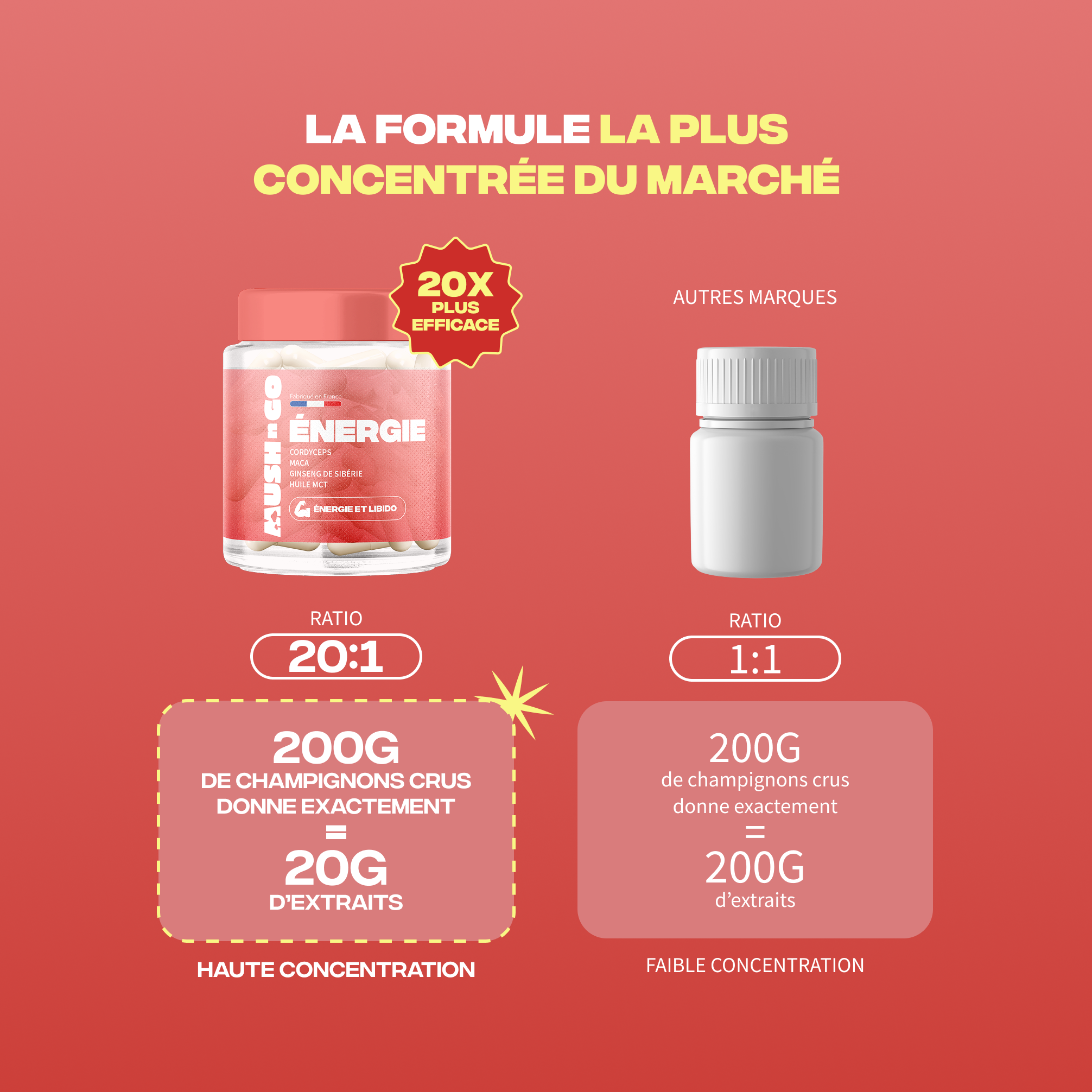 Formule Énergie Mush n Go la plus concentrée du marché - Ratio 20:1 haute concentration extraits de champignons