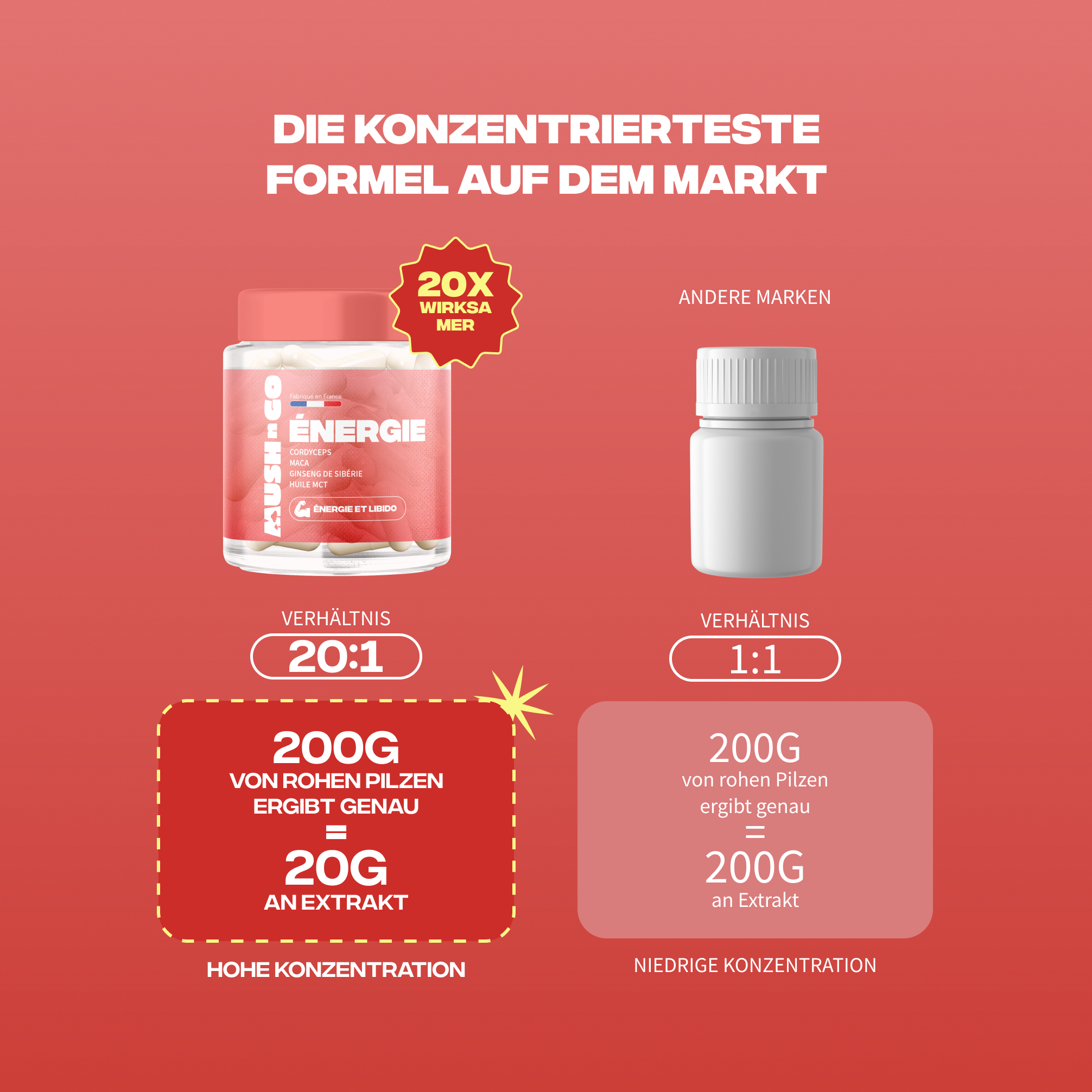 energie formule concentree ratio 20 1 extraits champignons