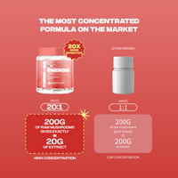 energie formule concentree ratio 20 1 extraits champignons