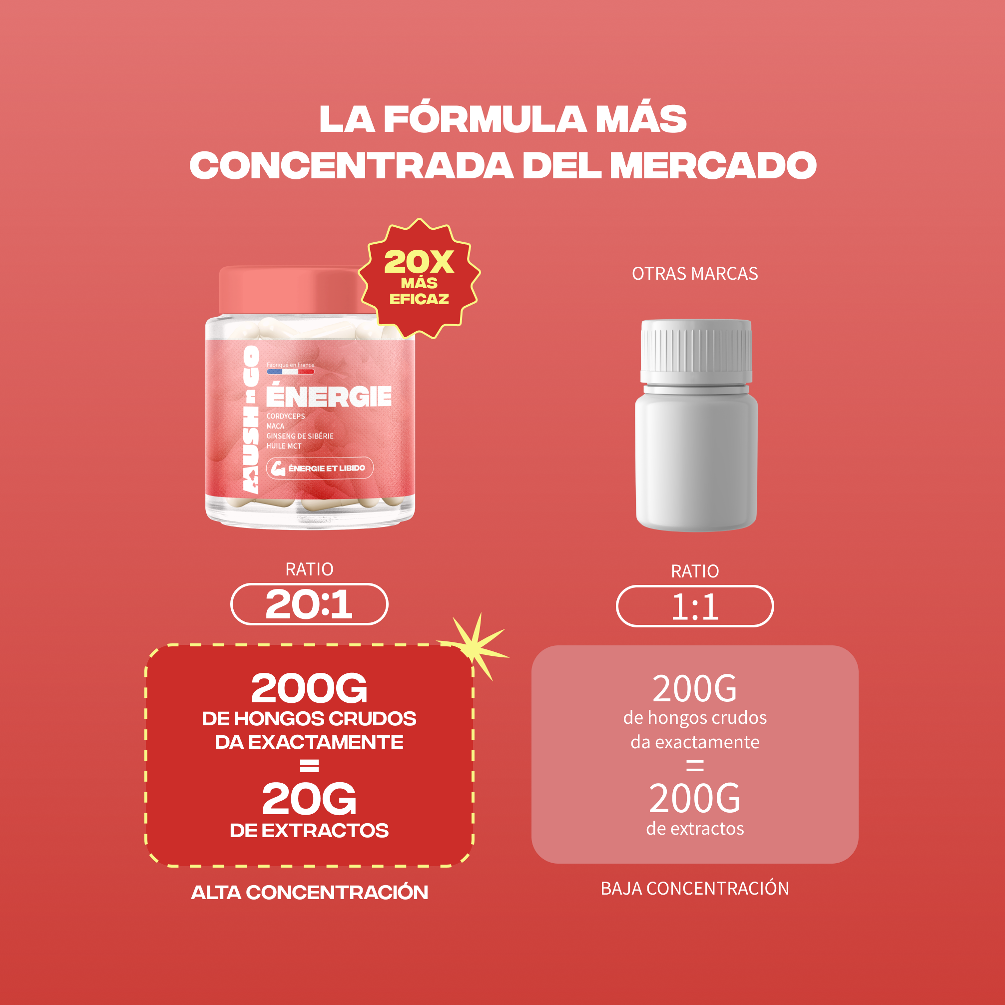 energie formule concentree ratio 20 1 extraits champignons