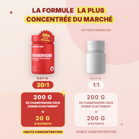 Énergie Mush n Go - Formule concentrée, ratio 20:1, extraits de champignons