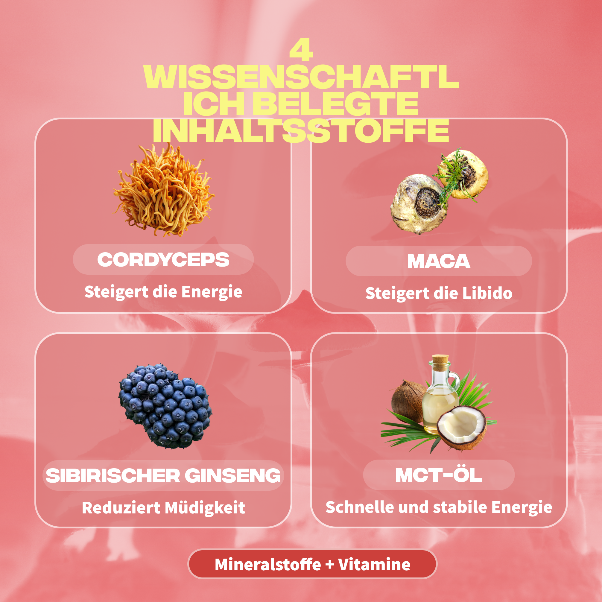 energie ingredients cordyceps maca ginseng siberie huile mct
