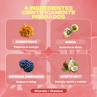 energie ingredients cordyceps maca ginseng siberie huile mct