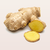 Ginger