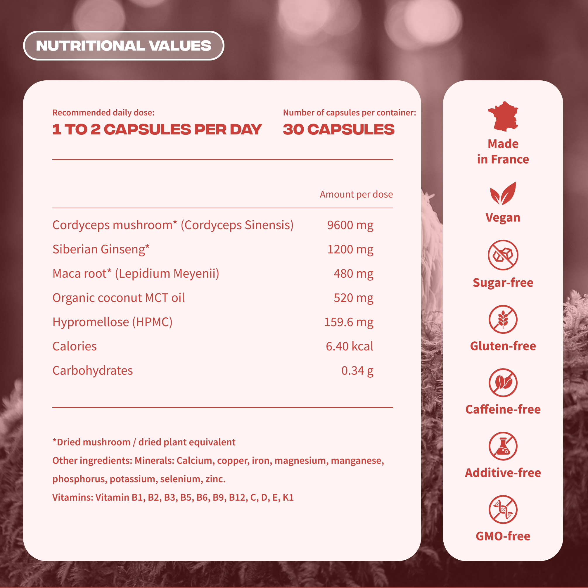 energie valeurs nutritionnelles vegan sans gluten fabrique france