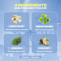 4 ingrédients Focus Mush n Go scientifiquement prouvés - Lion's Mane, Ginkgo Biloba, Romarin et Huile MCT