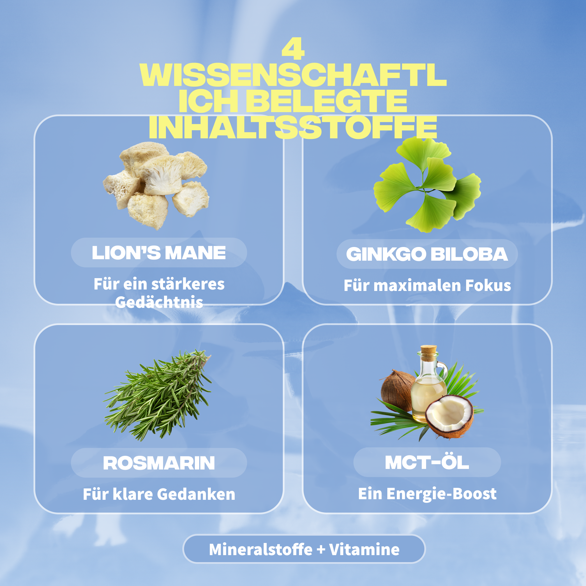 focus ingredients lions mane ginkgo biloba romarin huile mct