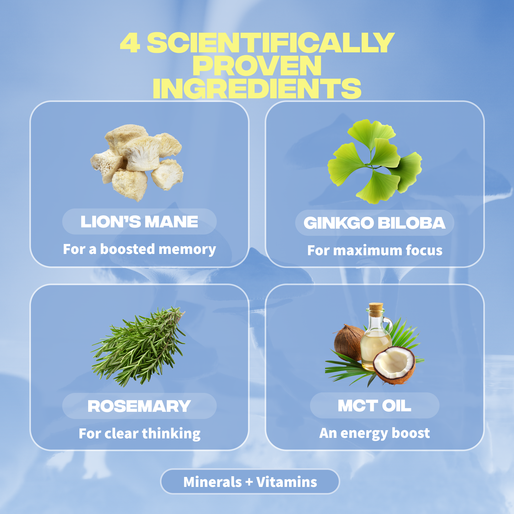focus ingredients lions mane ginkgo biloba romarin huile mct