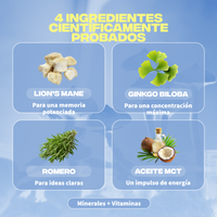 focus ingredients lions mane ginkgo biloba romarin huile mct