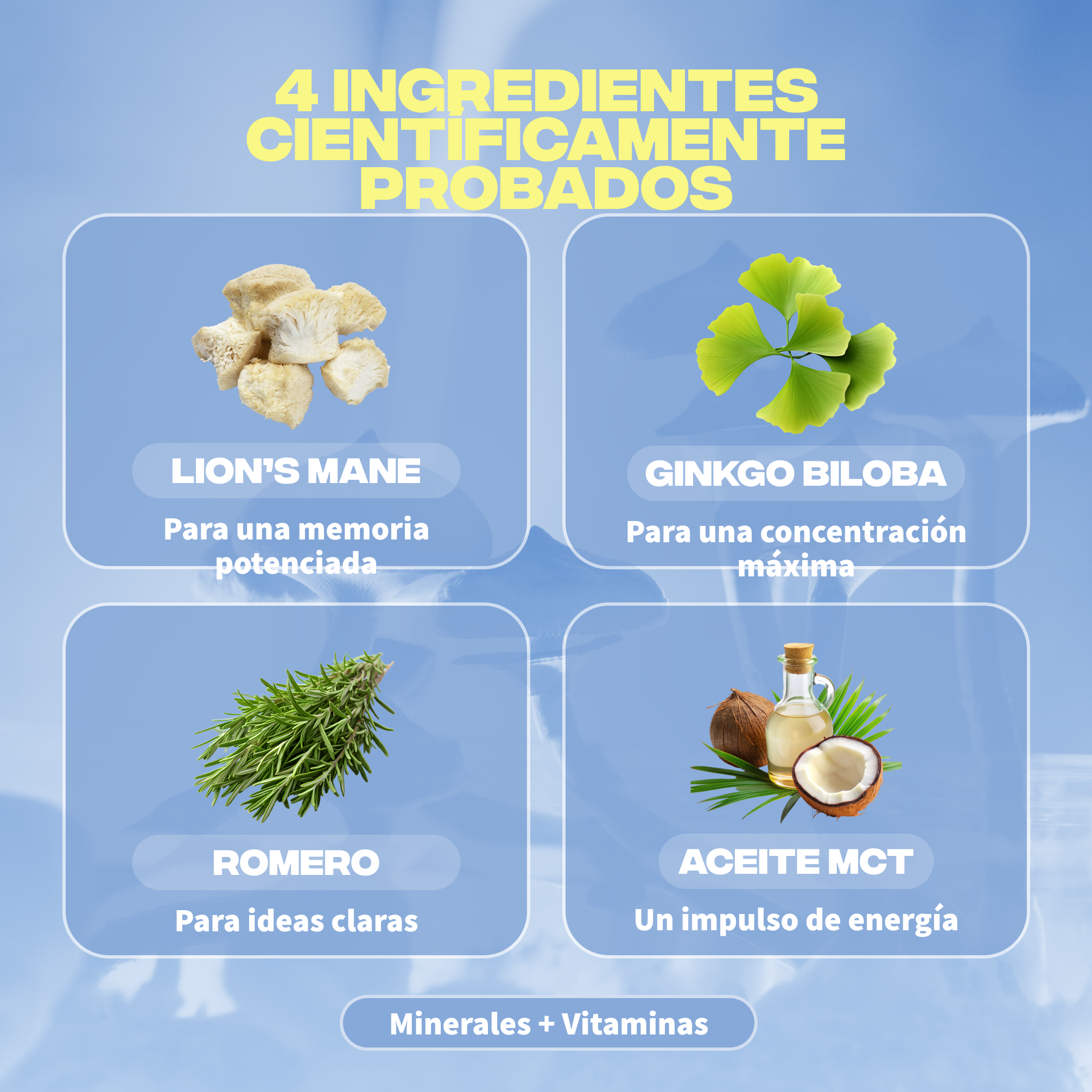 focus ingredients lions mane ginkgo biloba romarin huile mct