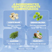 focus ingredients lions mane ginkgo biloba romarin huile mct