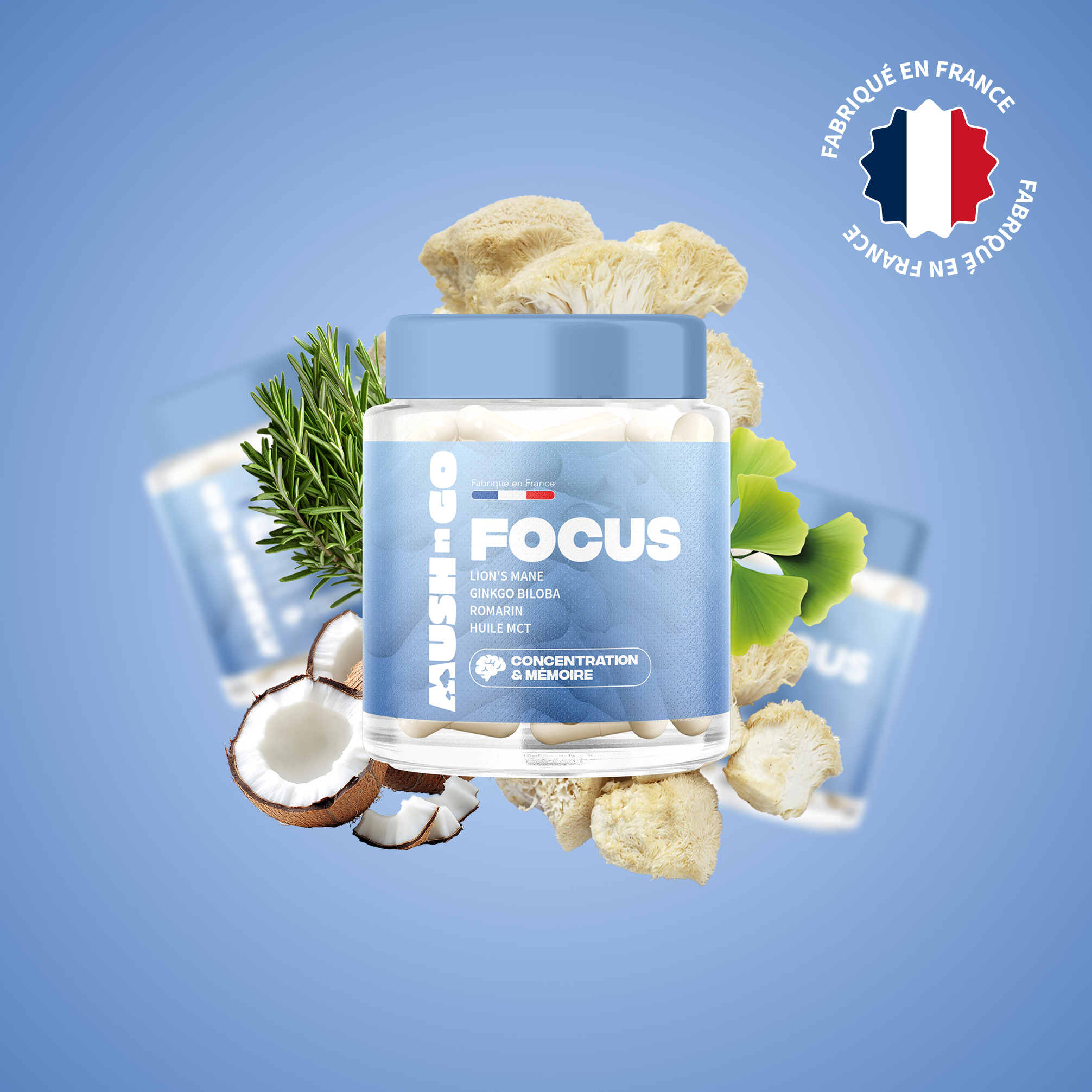 Focus Mush n Go - Complément alimentaire Lion's Mane, Ginkgo Biloba et Romarin pour concentration et clarté mentale, fabriqué en France