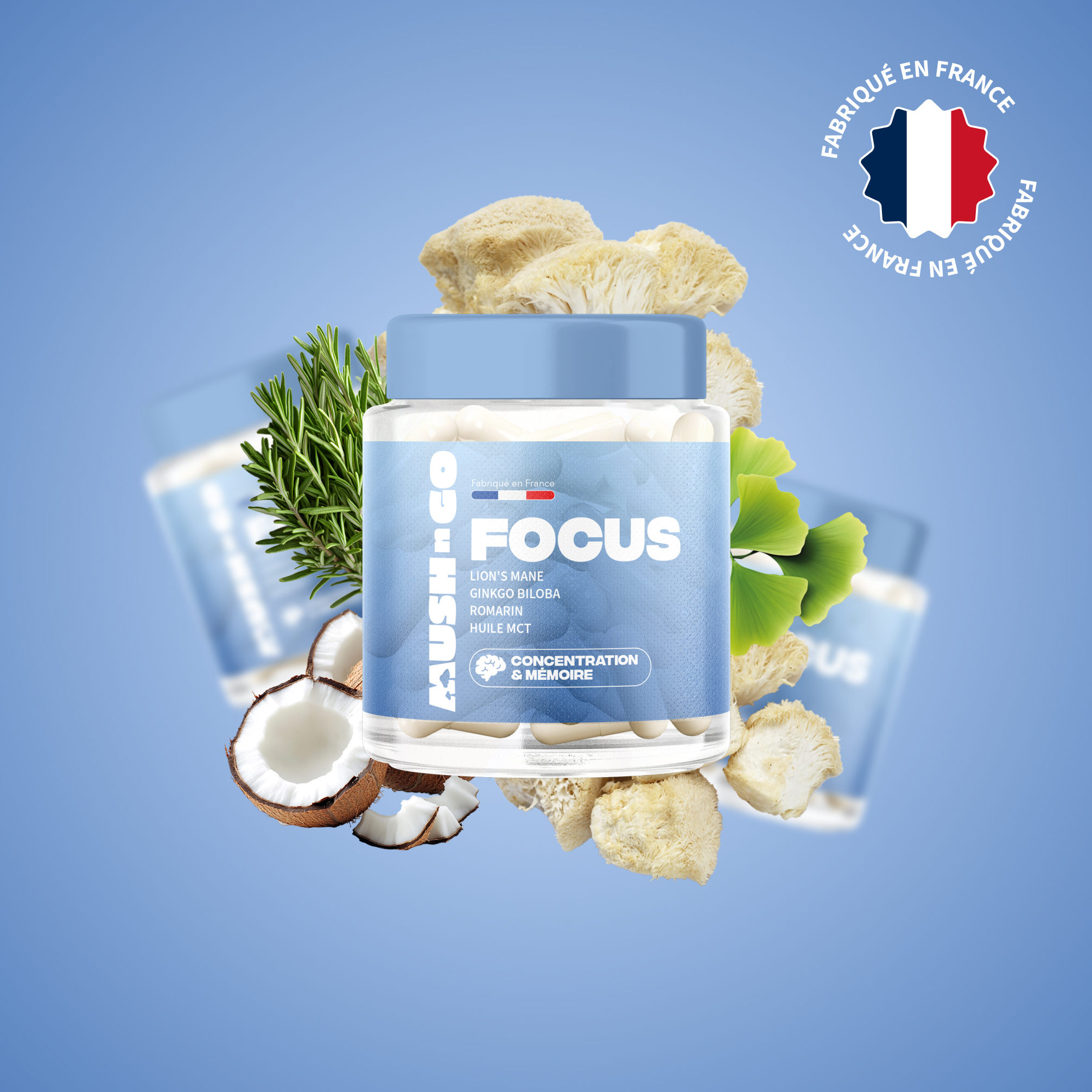 focus mush n go complement concentration lions mane