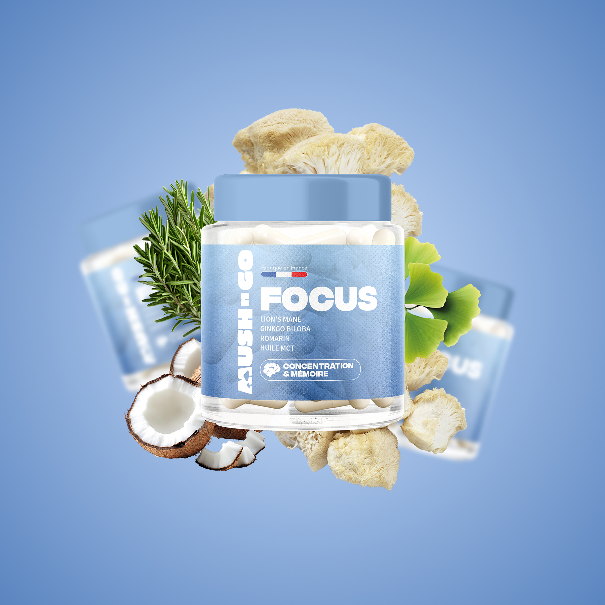 Mush n Go — Champignons adaptogènes naturels