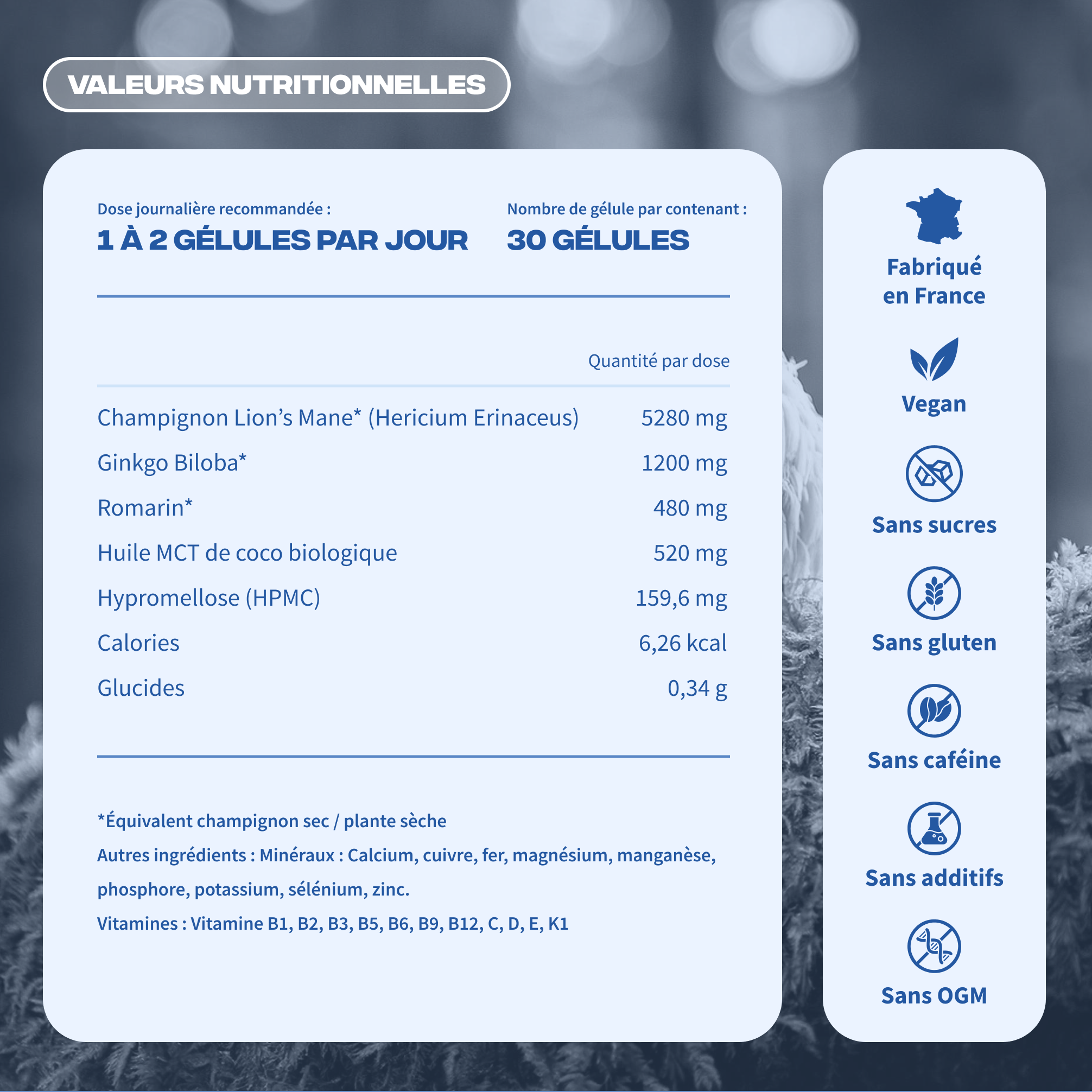 Valeurs nutritionnelles Focus Mush n Go - Vegan, sans gluten, sans sucres, sans OGM, fabriqué en France, 30 gélules