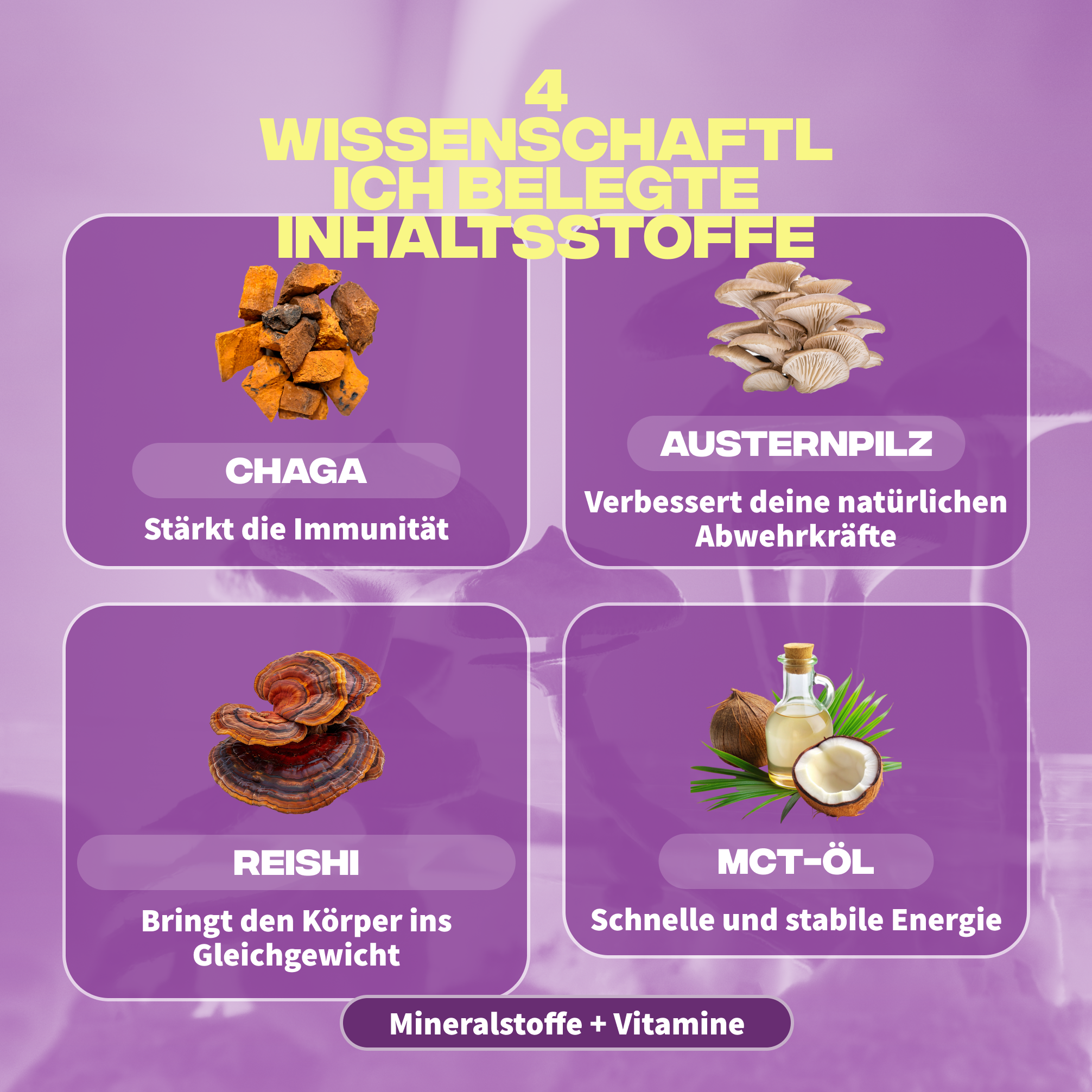immunite ingredients chaga pleurote reishi huile mct mineraux vitamines