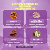 immunite ingredients chaga pleurote reishi huile mct mineraux vitamines